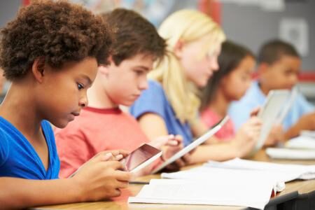 Livox e a deficiência intelectual ou atraso cognitivo